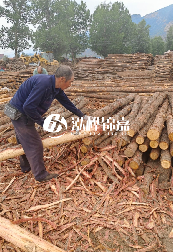 東營河道清淤專業(yè)施工隊-不同型號挖機清淤能力對比？