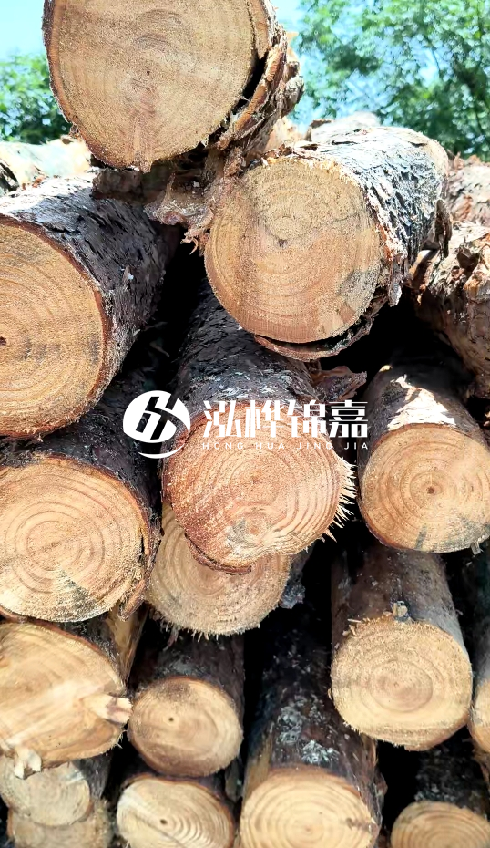 周口挖機(jī)打木樁專(zhuān)業(yè)施工-杉木樁施工打樁怎么打？