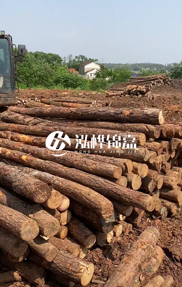 荊州挖機(jī)打木樁專(zhuān)業(yè)施工-河道打樁木被水浸泡后會(huì)不會(huì)變形嚴(yán)重？