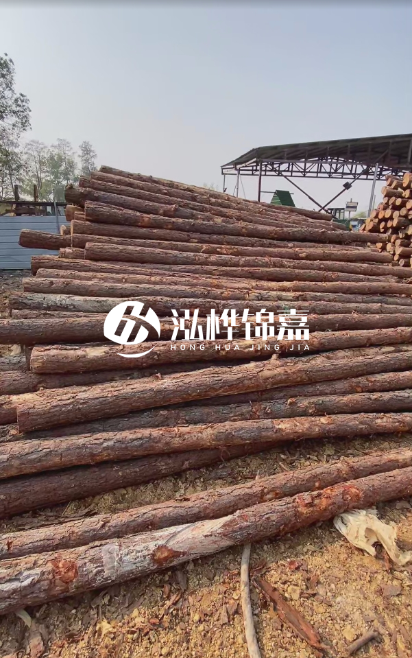 岳陽(yáng)松木樁源頭廠家-河道木樁護(hù)岸能否抵御洪水沖擊?