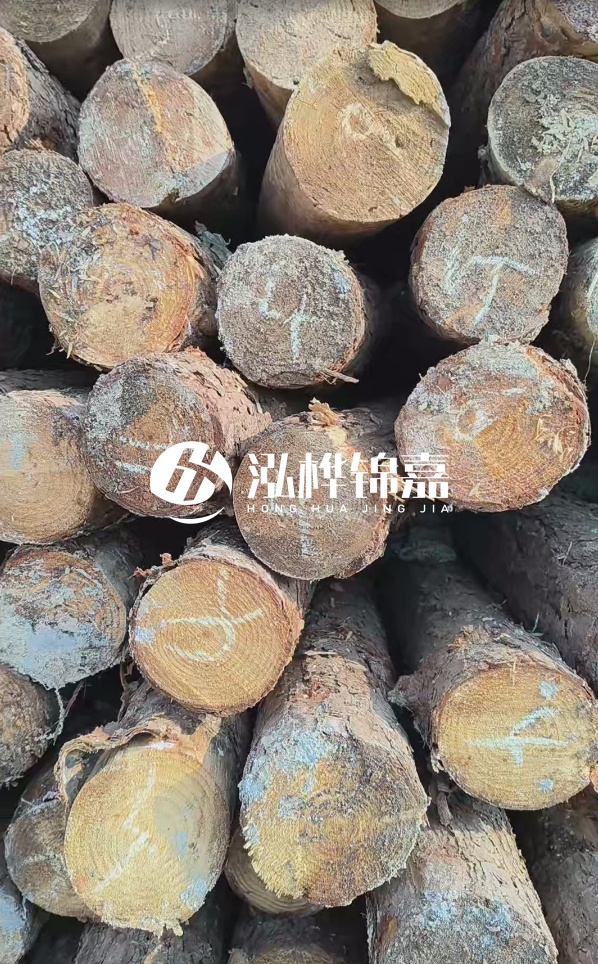 湛江松木樁源頭廠家-松木樁的直徑對河道打樁效果有何影響?