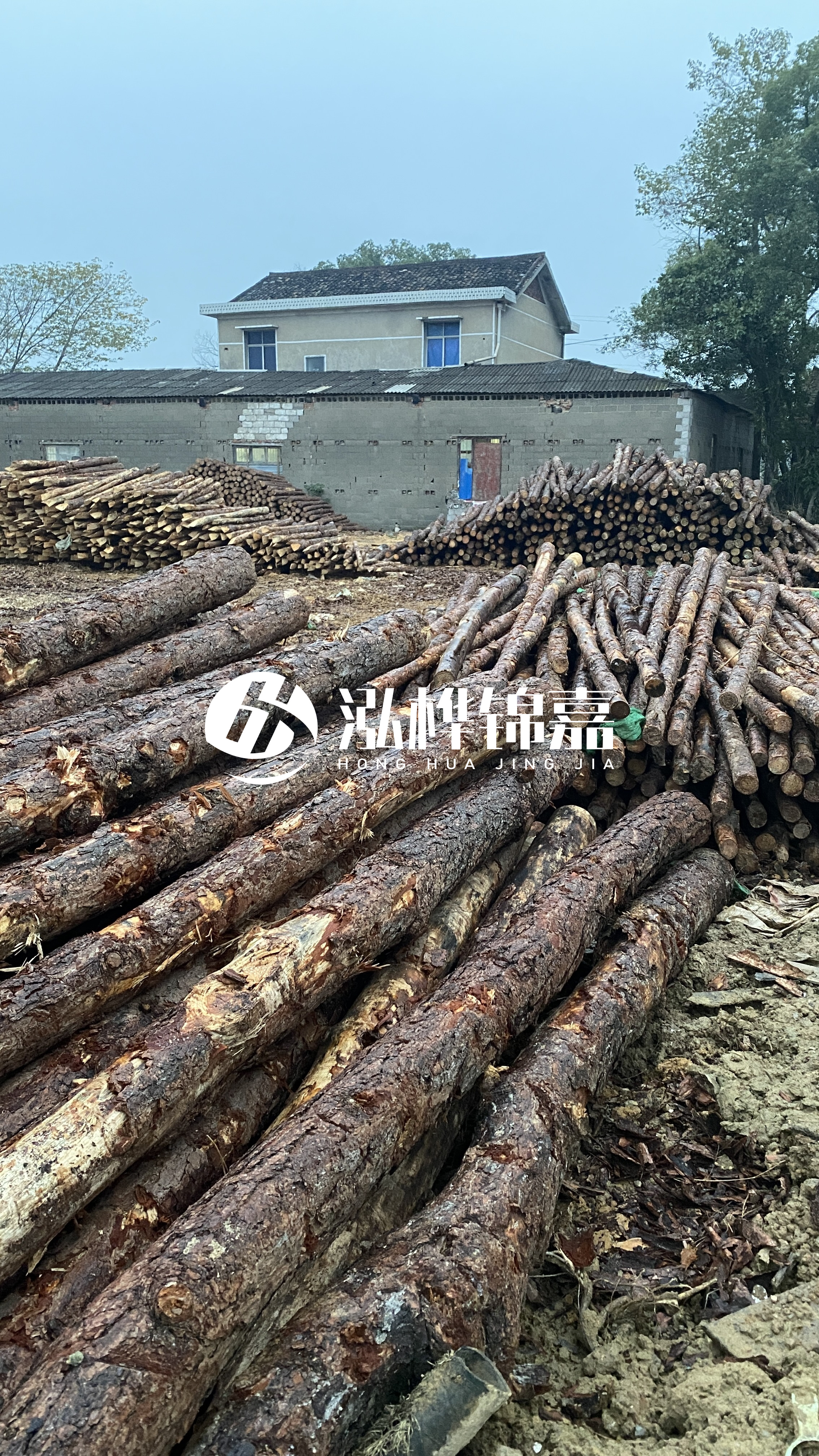 資陽松木樁源頭廠家-工地松木樁的采購渠道有哪些?