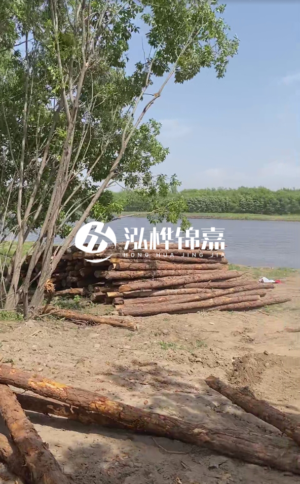 慶陽挖機(jī)打木樁專業(yè)施工-松木打樁過程中如何避免木材開裂?