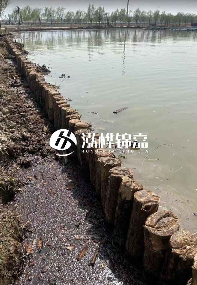 長沙松木樁批發(fā)市場在哪?廠家地址是多少?