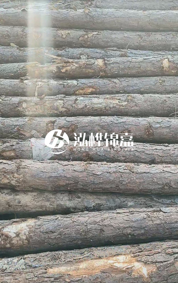 松木樁5米100mm一根多少錢-5米140mm多少錢?