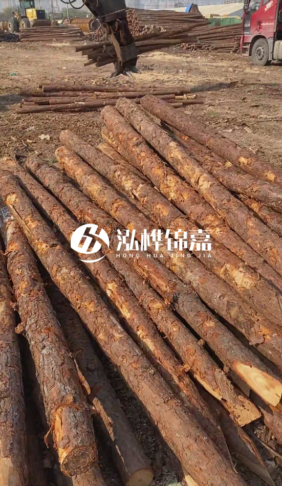 7米松木樁8一12公分價格？直徑15公分松木樁多少錢？