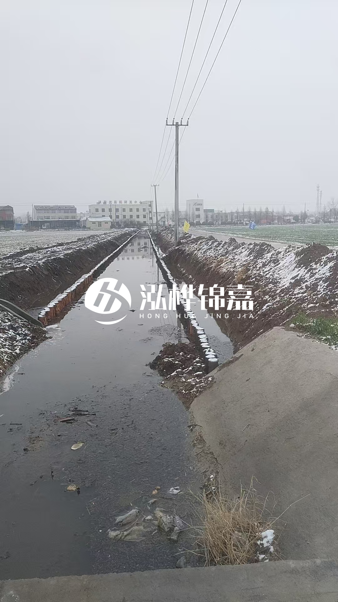 4米松木樁和杉木樁價格相差多少？哪個更便宜？