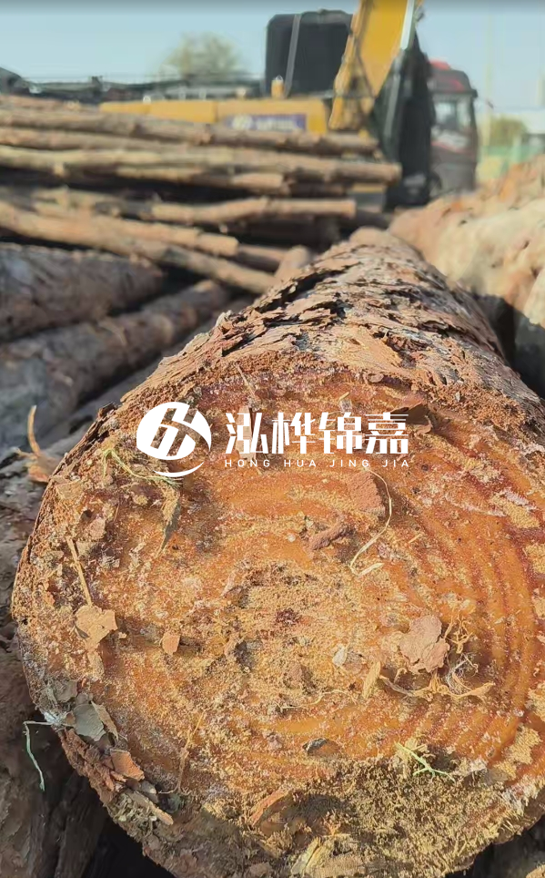 杉木樁價格多少錢一方-3米直徑14公分杉木樁價格？