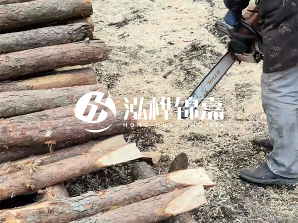 杉木樁批發(fā)廠家哪家好?產(chǎn)地直供渠道推薦!
