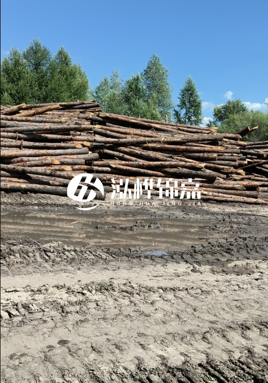 3米松木樁適合河道護坡嗎?小頭直徑8厘米的松木樁價格如何?