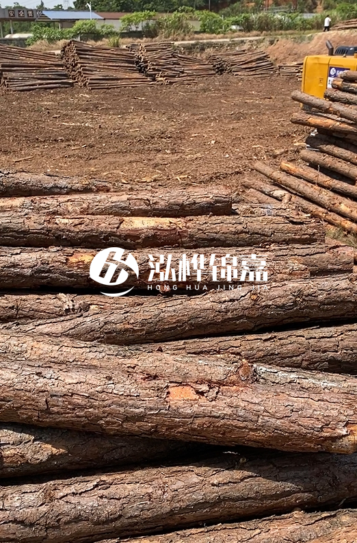 陜西河道木樁源頭廠家泓樺錦嘉-3米大頭11-13厘米多少錢一根?