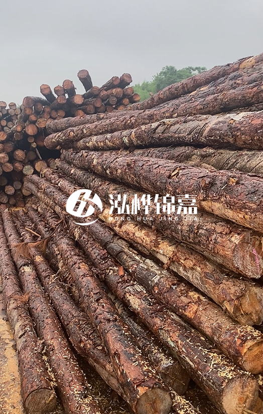 購買松木樁注意事項有哪些-不同直徑松木樁區(qū)別有哪些?