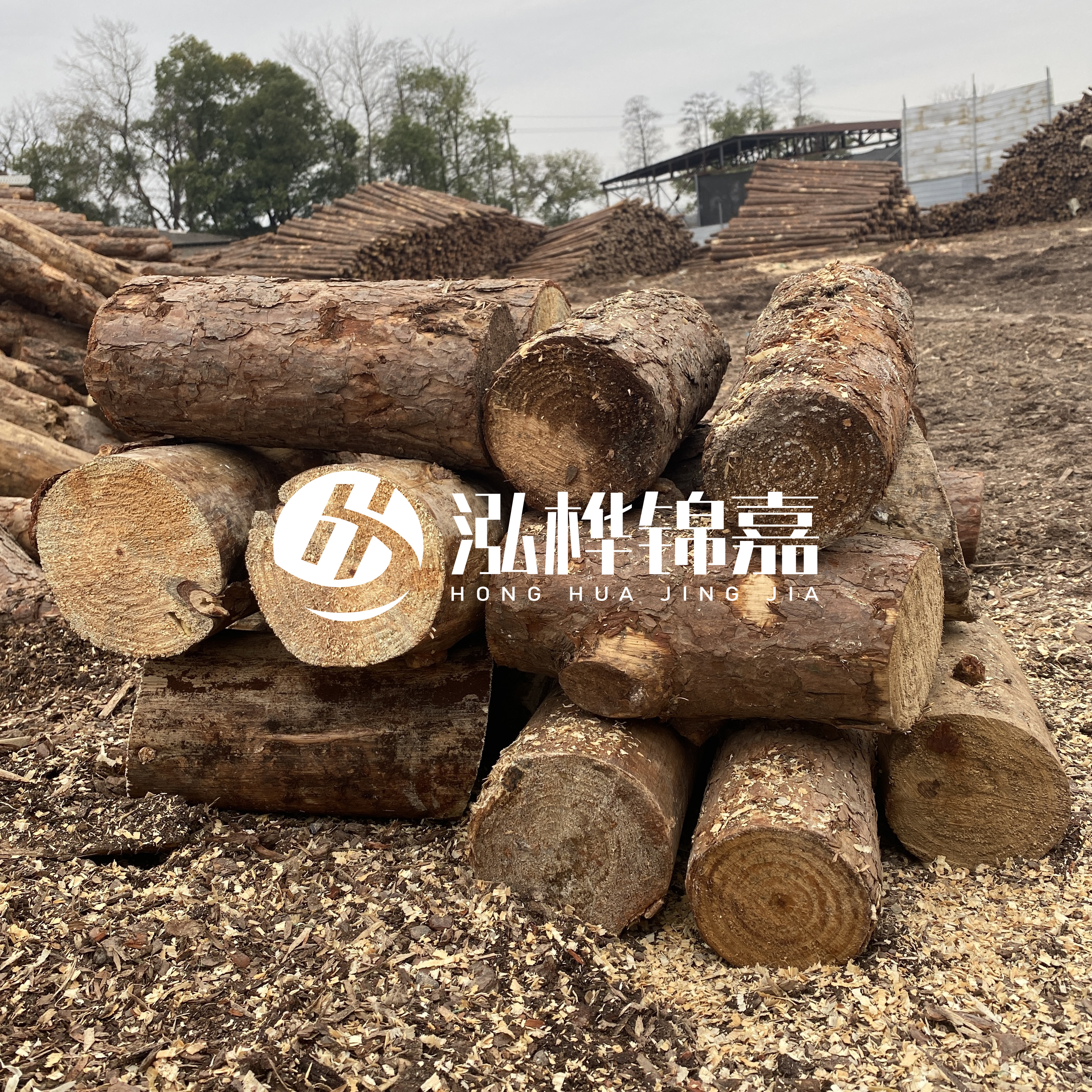 打樁木邊角料能做什么用途?怎么賣的?