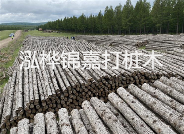 水面松木樁施工方案:打造穩固耐用的水上建筑